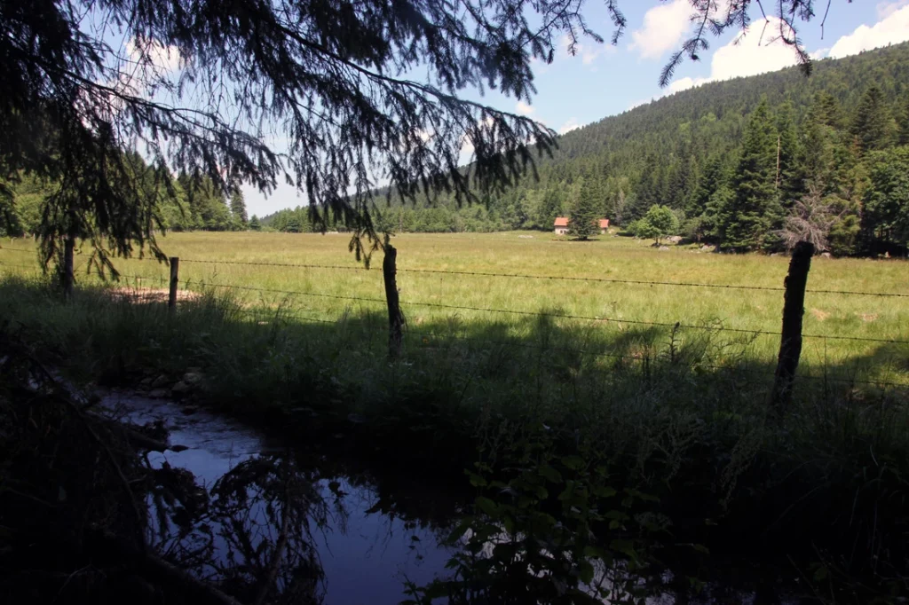 Vallée fossat forez randonnée