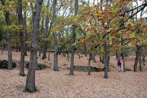 Vallée des saints